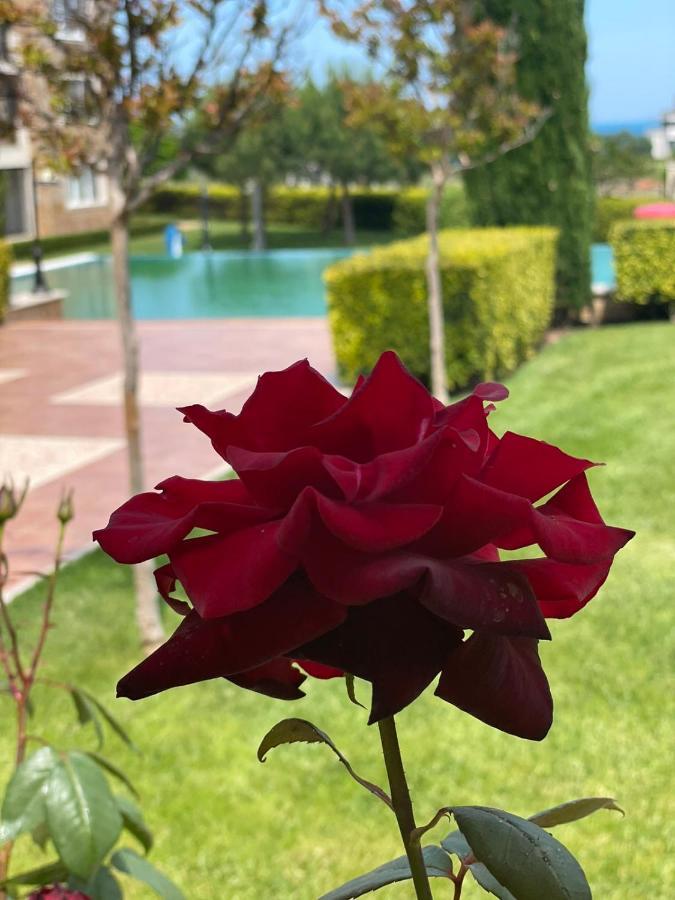 Provence Deluxe Apartment In Atia Resort Chernomorets Exterior foto