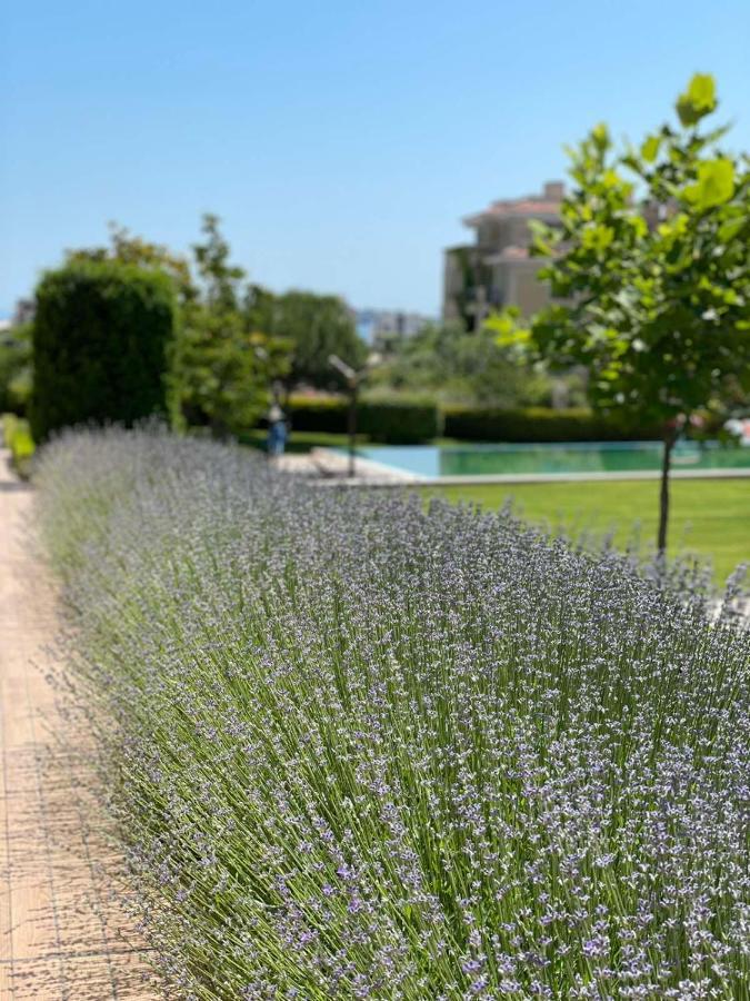 Provence Deluxe Apartment In Atia Resort Chernomorets Exterior foto